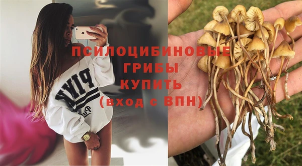 a pvp Абинск
