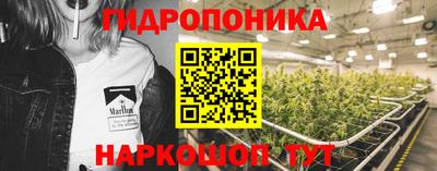 сатива Отрадный