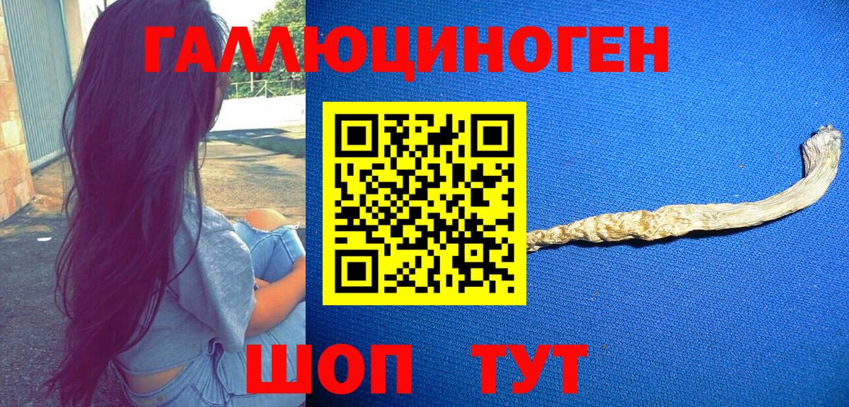 Ангарск  Псилоцибиновые грибы Cubensis  Вход с VPN 